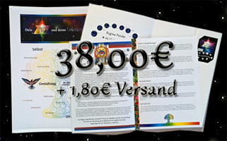 Dein SeelenLebensplan Dein SeelenLebensplan für 38,00€ plus 1,80€ Versand