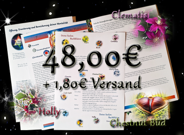 SeelenLebensplan und Bachblüteninfo für 48 Euro plus 1,80 Euro Versandkosten