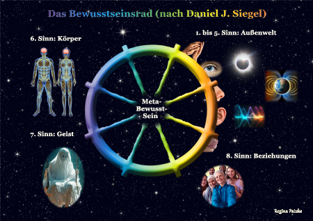 Das Bewusstseinsrad