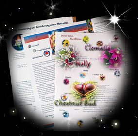 Dein SeeelenLebensPlan